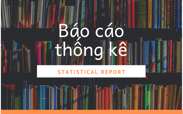 bao-cao-thong-ke-la-gi