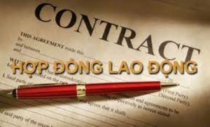 đơn phương chấm dứt hợp đồng là gì