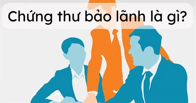 chung-thu-bao-lanh-la-gi chứng thư bảo lãnh là gì