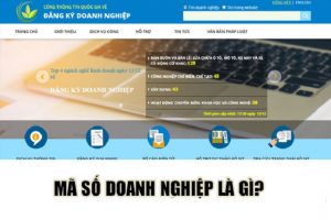 Mã số doanh nghiệp là gì