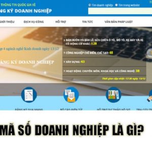Mã số doanh nghiệp là gì