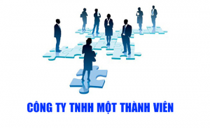 Dịch vụ thành lập công ty TNHH 1 thành viên chỉ từ 1.200.000đ