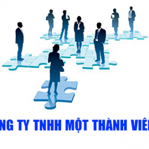 Dịch vụ thành lập công ty TNHH 1 thành viên chỉ từ 1.200.000đ