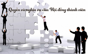 Quyền & nghĩa vụ của Hội Đồng Thành Viên công ty TNHH mới