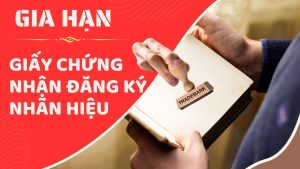Hồ sơ và thủ tục gia hạn giấy chứng nhận đăng ký nhãn hiệu