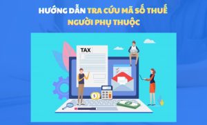 Cách tra cứu mã số thuế người phụ thuộc từ, chi tiết từ A - Z