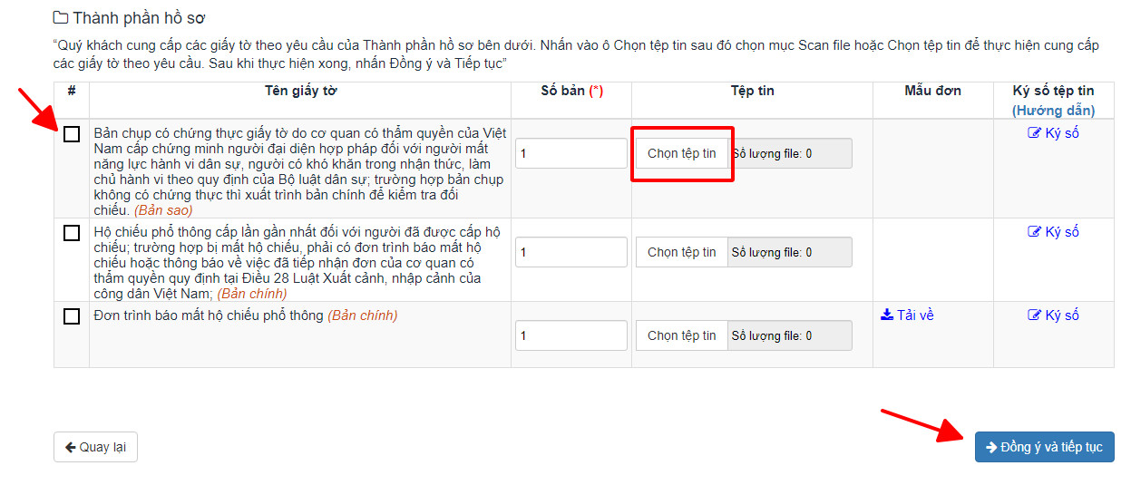 Hồ sơ và thủ tục cấp lại, đổi hộ chiếu hết hạn online, trực tiếp